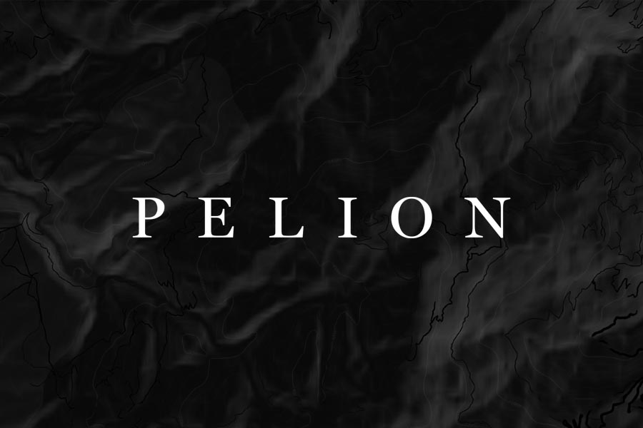 Pelion Venture Partners photo